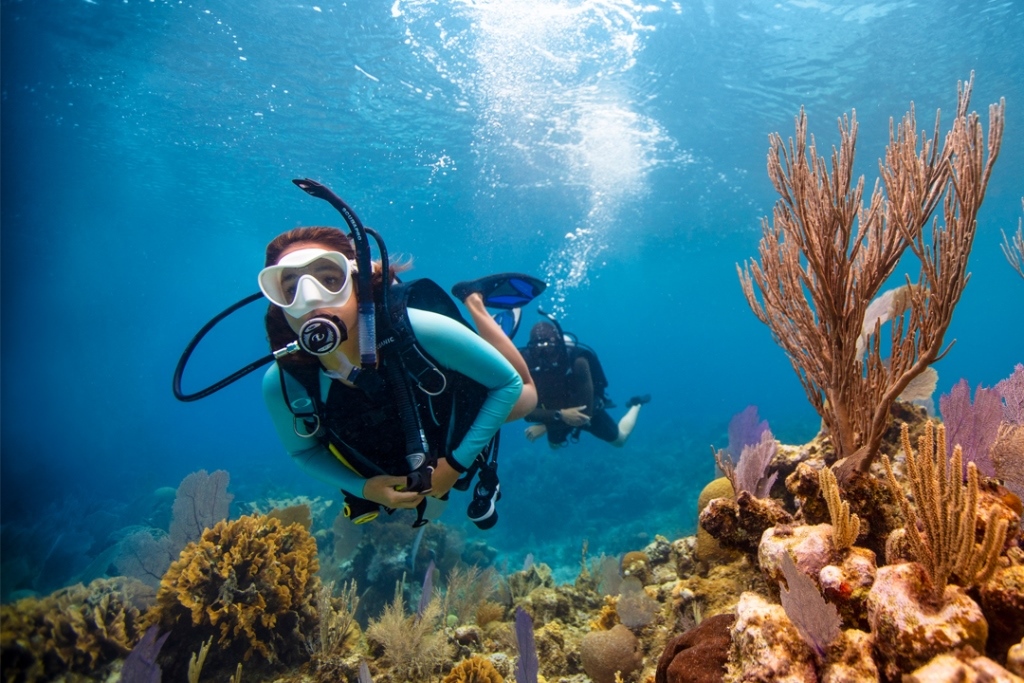 Las Catalinas2 Dives