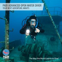 learn-to-dive-discover-scuba-diving